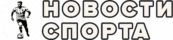 Спортивные новости онлайн